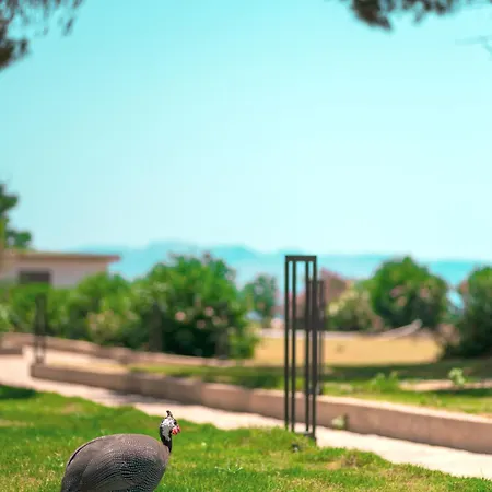 Feri Surf Club Otel *