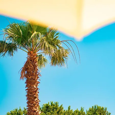 Otel Feri Surf Club Datça