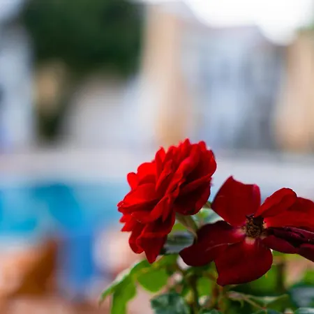 Feri Surf Club Hotel Datca