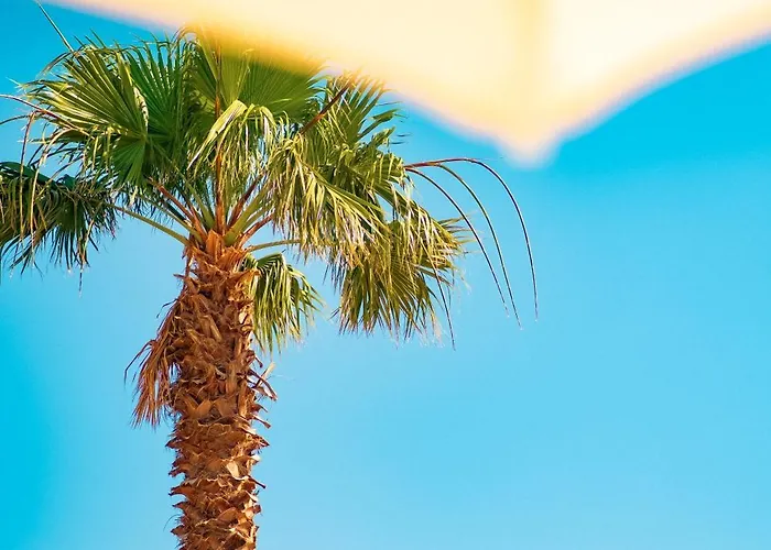 Hotell Feri Surf Club Datça