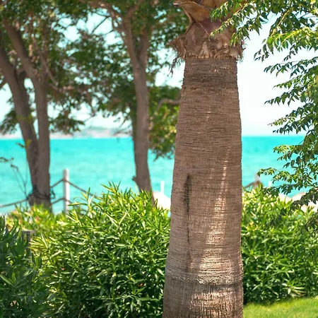 Feri Surf Club Datça