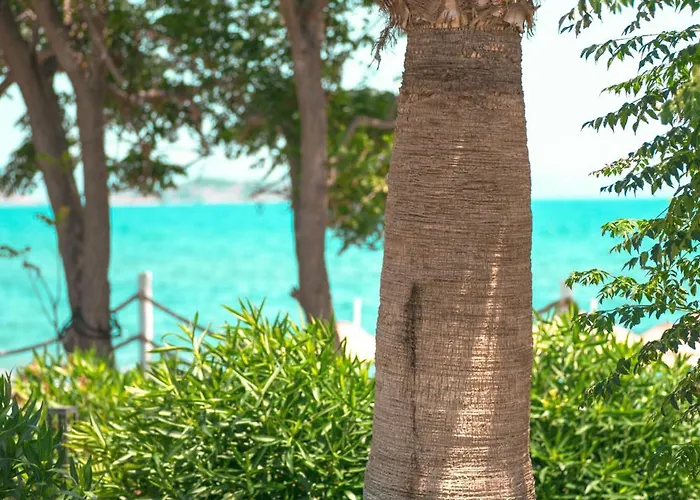 Feri Surf Club Datça